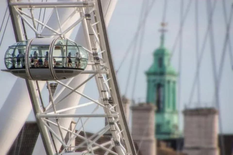 Westminster Walking Tour & London Eye Ticket - Image 6