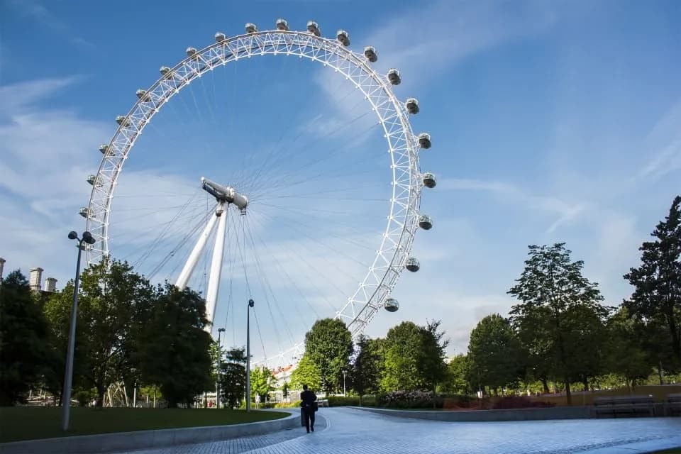 Westminster Walking Tour & London Eye Ticket - Image 8