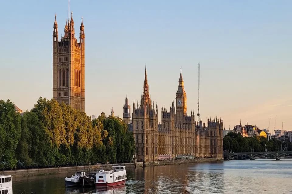 Westminster Walking Tour & London Eye Ticket - Image 13